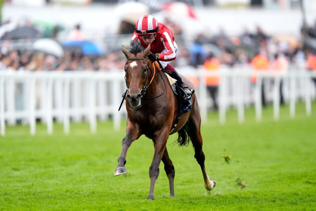 Bay City Roller, ridden in red and white silks, galloping on the turf