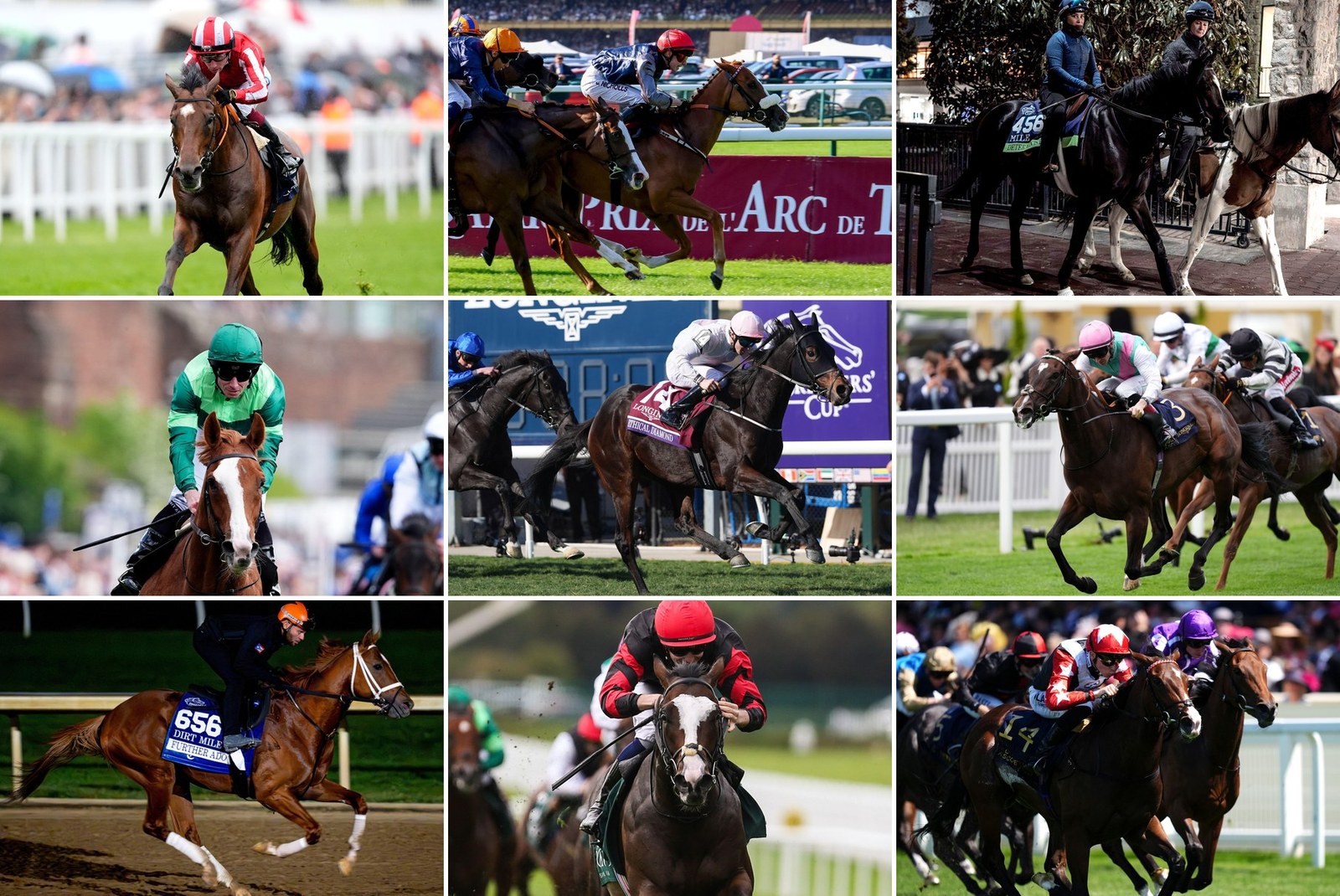 Breeders' Cup runners discussed on Nick Luck Daily