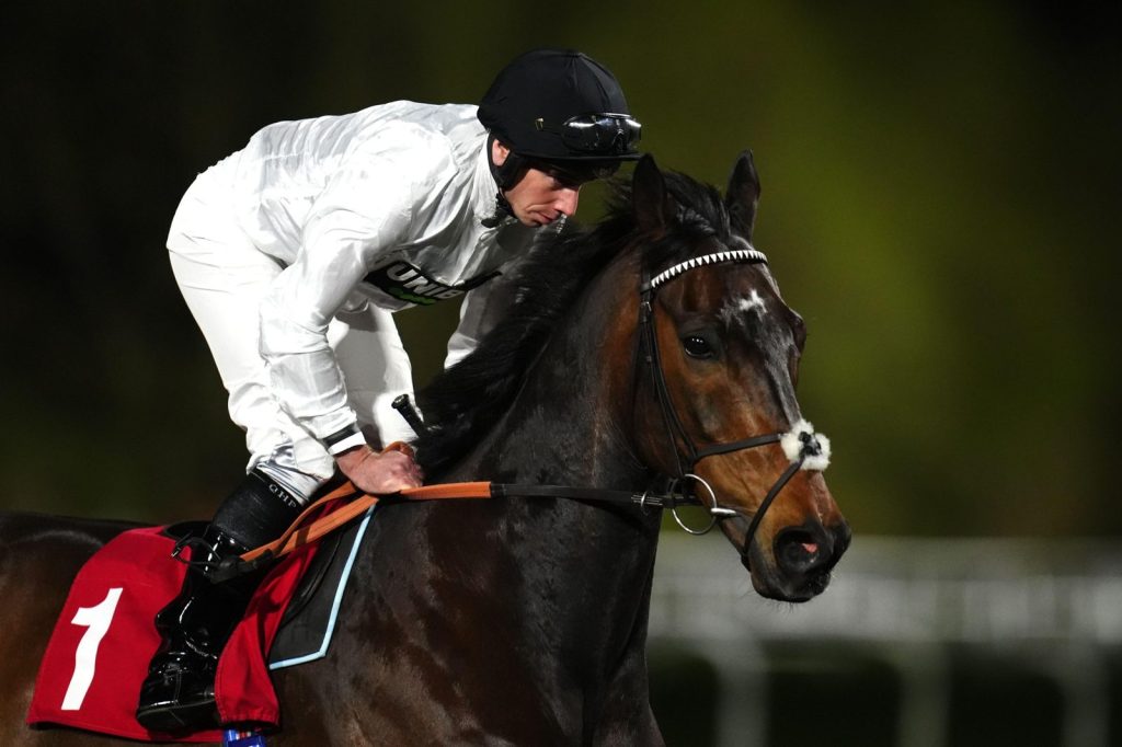 Constitution Hill and Rossa Ryan