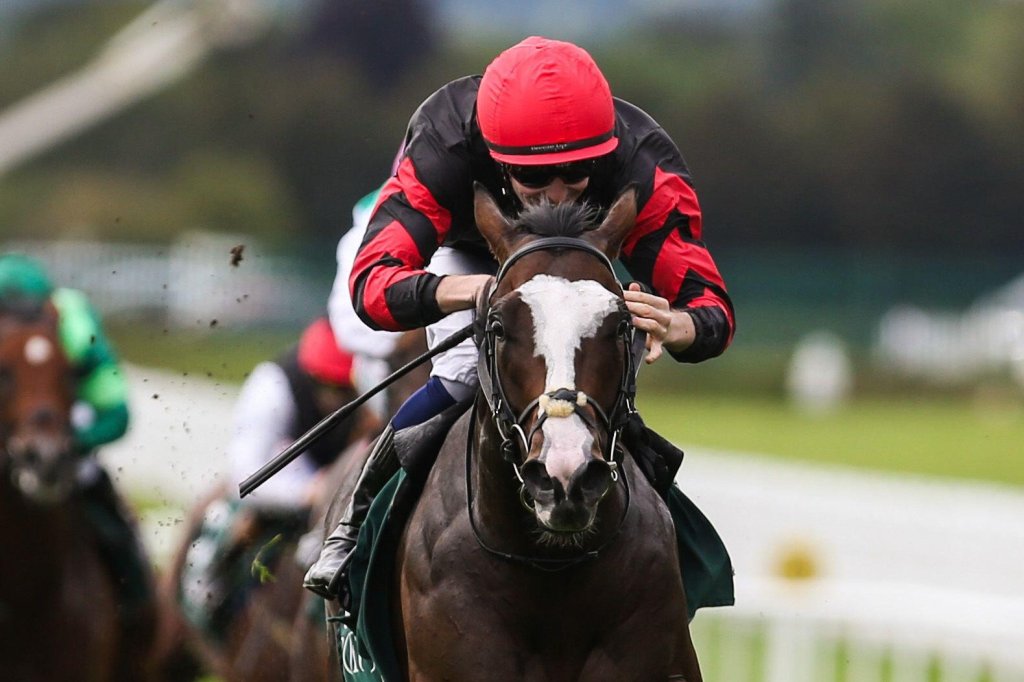 Homebred Folsom Blues has raised Al Shira’aa’s game, says Kieran&nbsp;Lalor