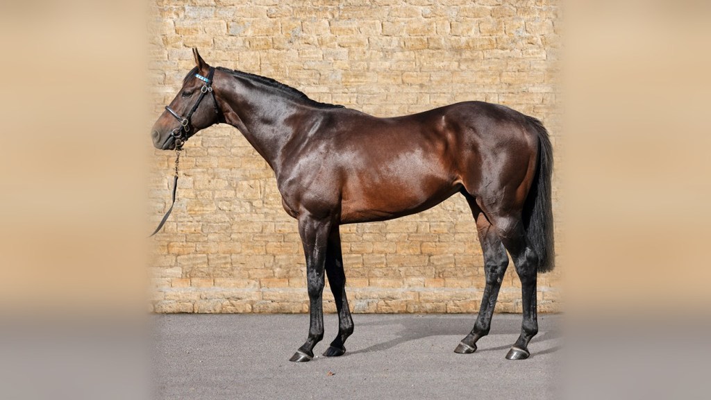 Hukum returns from Japan to join Golden Horn at Overbury